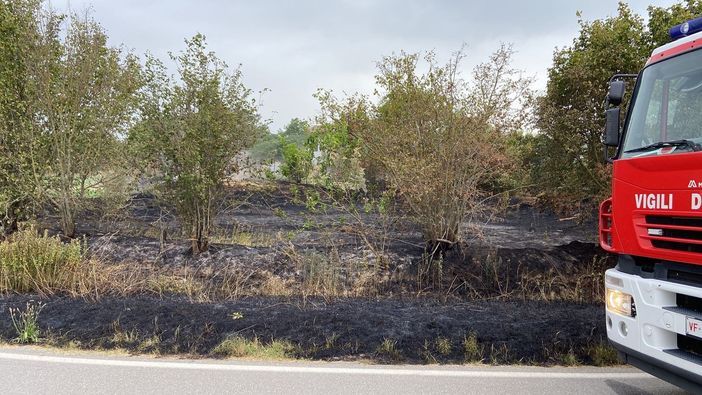 Pieve del Cairo: incendio di sterpaglie in cascina, Vigili del fuoco in azione Pieve del Cairo: incendio di sterpaglie in cascina, Vigili del fuoco in azione