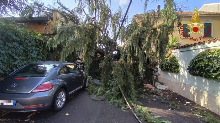 Maltempo, danni e disagi a Vigevano e in Lomellina. Centinaia gli interventi dei Vigili del fuoco Maltempo, danni e disagi a Vigevano e in Lomellina. Centinaia gli interventi dei Vigili del fuoco