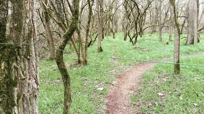 Il cavo apparso ad altezza gola nel Bosco del Vignolo (foto tratta da Facebook) Il cavo apparso ad altezza gola nel Bosco del Vignolo (foto tratta da Facebook)
