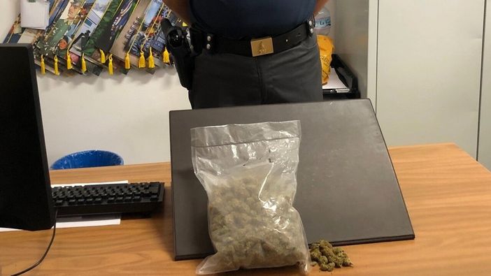 Milano, si fa inviare droga per posta: arrestato… Milano, si fa inviare droga per posta: arrestato…