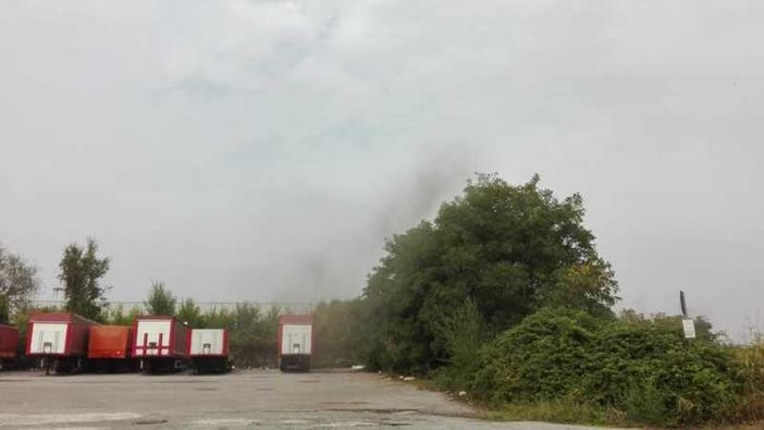 Magenta: sciami di insetti svolazzano su Pontenuovo, sono le formiche alate