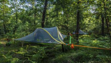 Vigevano, Nido nel Parco: il turismo sostenibile piace Vigevano, Nido nel Parco: il turismo sostenibile piace