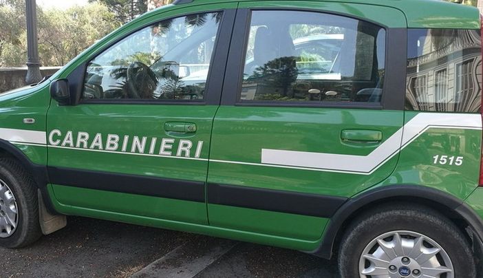 Gambolò: sequestrato un deposito non autorizzato di rifiuti pericolosi Gambolò: sequestrato un deposito non autorizzato di rifiuti pericolosi