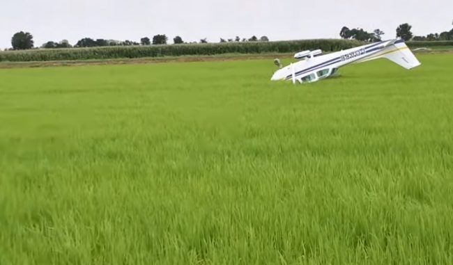 foto tratta da Facebook foto tratta da Facebook