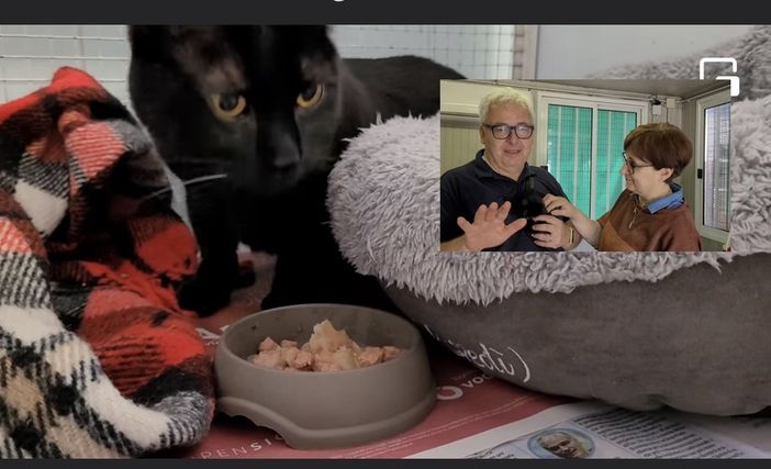 Il micio Ugo e nel riquadro i magnifici Giovanni e Luciana