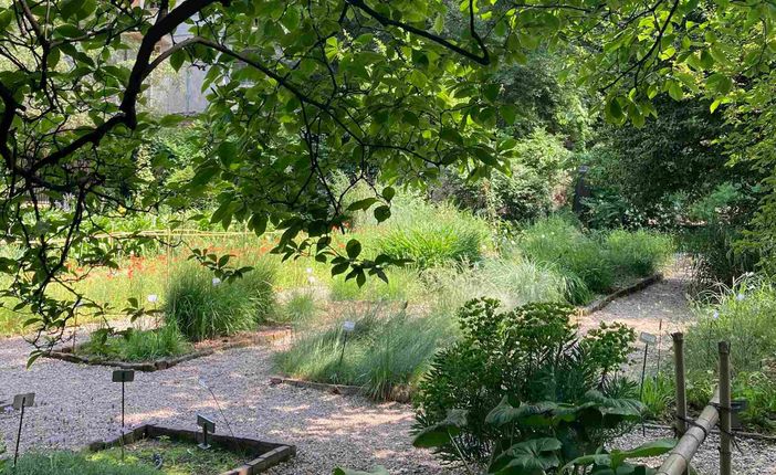 Dal 18 al 26 giugno, la rete degli orti botanici della Lombardia festeggia il solstizio d’estate Dal 18 al 26 giugno, la rete degli orti botanici della Lombardia festeggia il solstizio d’estate