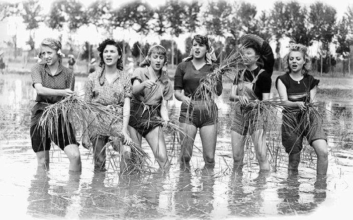 Il riso, dono degli Dei. Grande serata con Pietro Leemann e Cascina Caremma a Morimondo