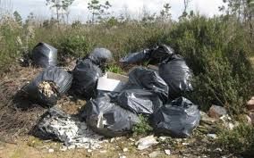 foto generica di repertorio