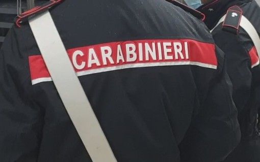 Compra un'auto con un assegno falso da 38mila euro: denunciato 22enne lombardo Compra un'auto con un assegno falso da 38mila euro: denunciato 22enne lombardo