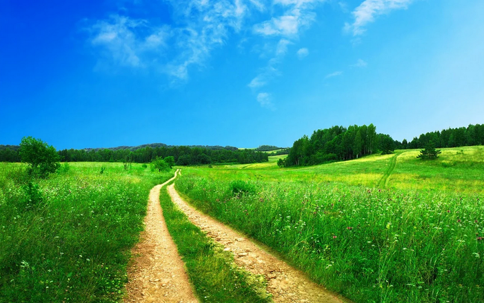 Inflazione, è boom dei costi nelle campagne Coldiretti: “Imprese agricole strozzate” Inflazione, è boom dei costi nelle campagne Coldiretti: “Imprese agricole strozzate”