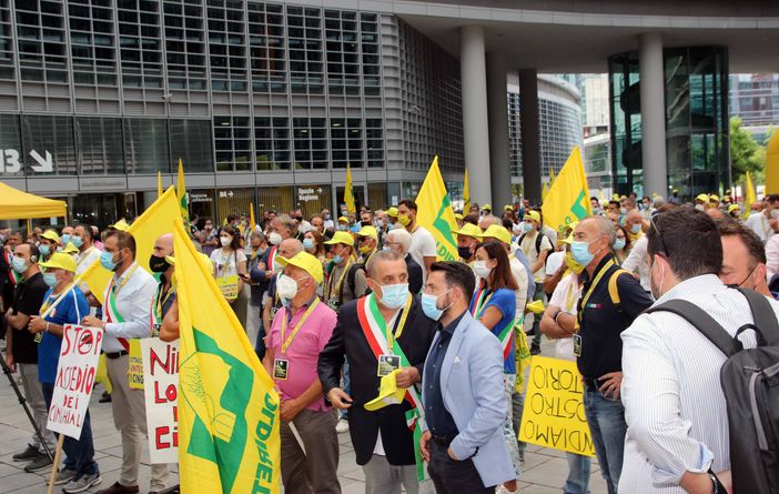 Cinghiali, la protesta degli agricoltori: in centinaia in piazza a Milano con Coldiretti