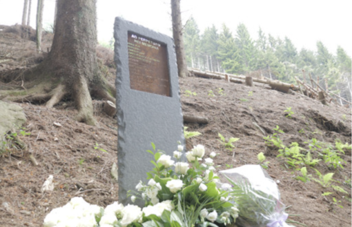 Tragedia del Mottarone, morta la madre di una vittima varesina. Un anno fa aveva protestato chiedendo giustizia Tragedia del Mottarone, morta la madre di una vittima varesina. Un anno fa aveva protestato chiedendo giustizia