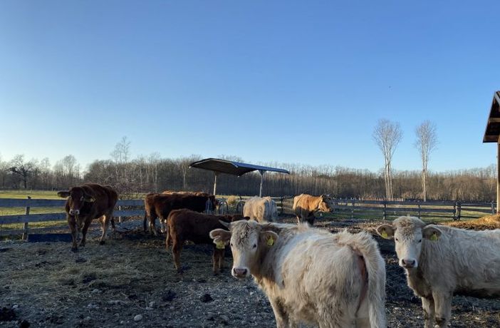 Parco Ticino, via alla riqualificazione di Fagiana e Centro Geraci