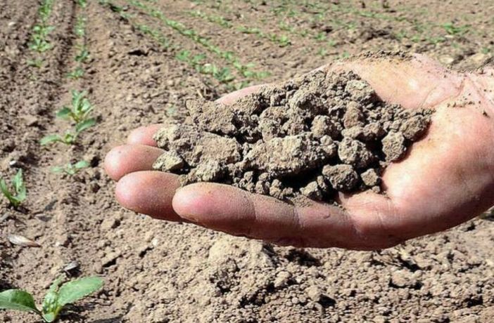 Siccità, Coldiretti al tavolo regionale: «Pronti a fare la nostra parte per salvare raccolti» Siccità, Coldiretti al tavolo regionale: «Pronti a fare la nostra parte per salvare raccolti»