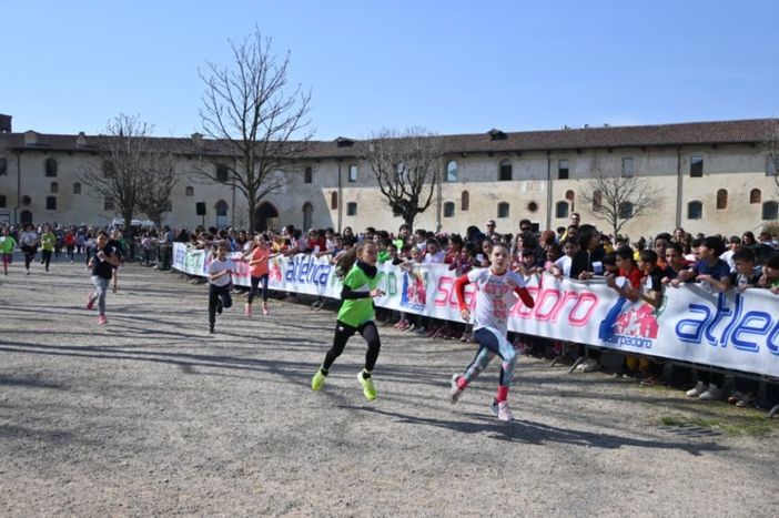 FOTOGALLERY - Corsa campestre: ennesimo trionfo per il Trofeo Pensa, al traguardo 738 alunni delle scuole elementari e primarie FOTOGALLERY - Corsa campestre: ennesimo trionfo per il Trofeo Pensa, al traguardo 738 alunni delle scuole elementari e primarie