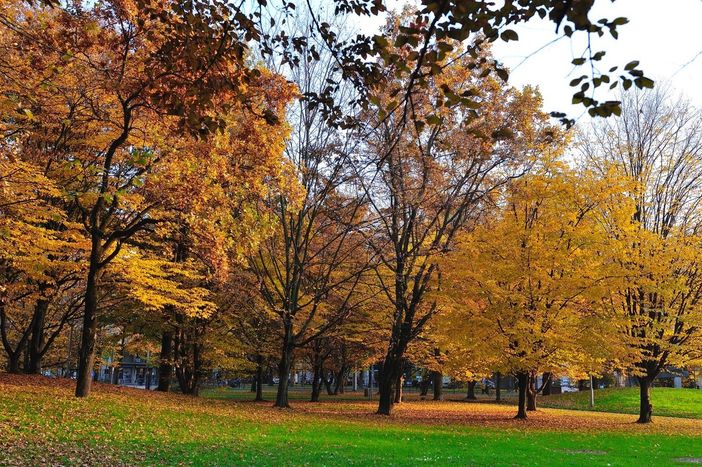 Photo: Maurizio Denti Pompiani Photo: Maurizio Denti Pompiani