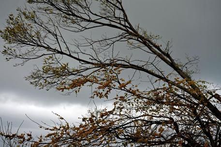 Da domenica torna l’aria fredda, colpo di coda dell’inverno Da domenica torna l’aria fredda, colpo di coda dell’inverno
