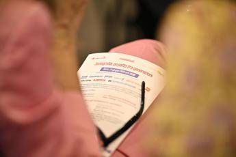 Sberna (Fdi): &quot;Natalità è emergenza pubblica, serve politica demografica integrata&quot;