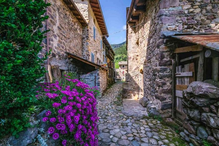 Dal 2 al 4 giugno in Valle Brembana, secondo weekend per scoprire i segreti delle erbe spontanee e i sapori locali Dal 2 al 4 giugno in Valle Brembana, secondo weekend per scoprire i segreti delle erbe spontanee e i sapori locali