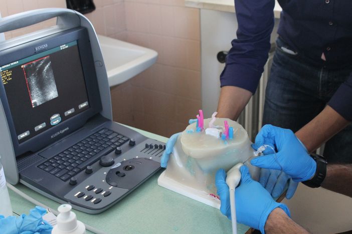 Blocco percutaneo del ganglio stellato: al San Matteo due giornate di formazione per diffondere l’utilizzo di questa tecnica