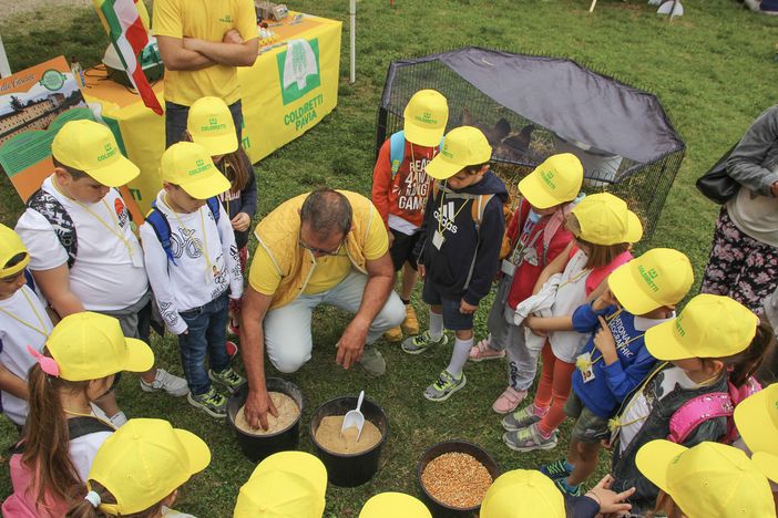 Scuola, 500 bambini colorano di giallo il Castello di Vigevano per la festa finale del progetto scolastico di Coldiretti Pavia Scuola, 500 bambini colorano di giallo il Castello di Vigevano per la festa finale del progetto scolastico di Coldiretti Pavia