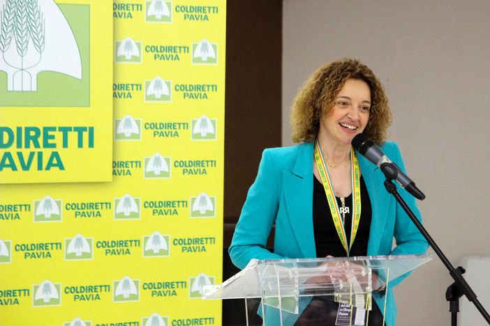 Vino, boom del metodo classico e del pinot nero in Oltrepò. Raddoppiata la produzione negli ultimi cinque anni Vino, boom del metodo classico e del pinot nero in Oltrepò. Raddoppiata la produzione negli ultimi cinque anni