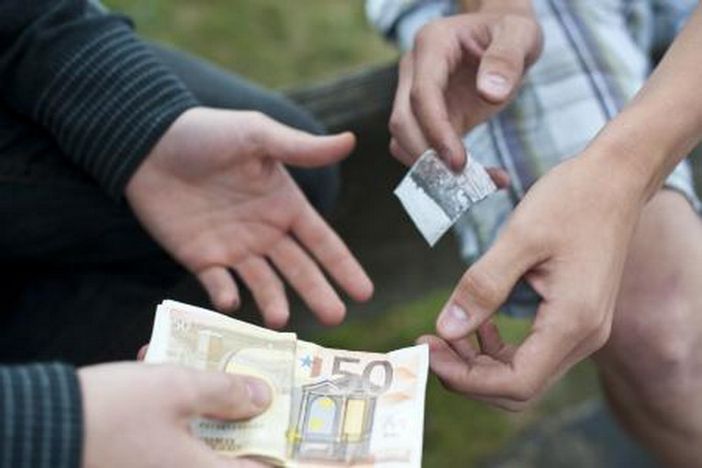 Spaccio nei boschi del Novarese: 9 misure cautelari, 4 in carcere di cui uno a Vigevano Spaccio nei boschi del Novarese: 9 misure cautelari, 4 in carcere di cui uno a Vigevano