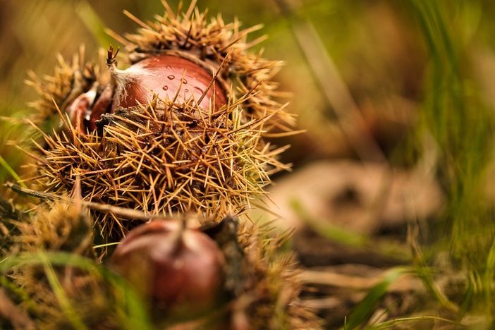 Autunno? No, fine settembre come un'eterna estate: sole e massime a 25 gradi per una settimana Autunno? No, fine settembre come un'eterna estate: sole e massime a 25 gradi per una settimana