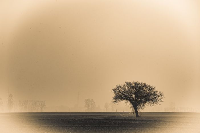 Foto: Maurizio Denti Pompiani