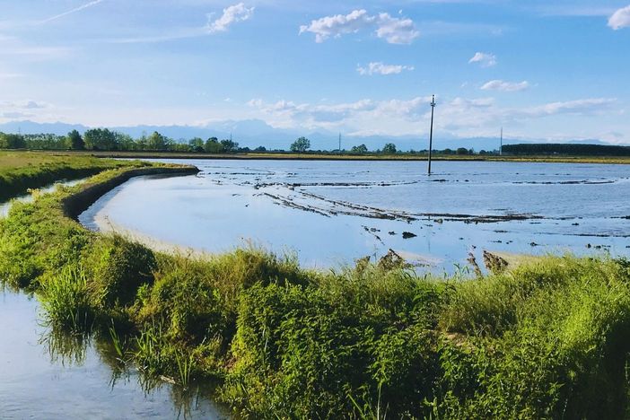 Gestione idrica, nasce in Lomellina il tavolo istituzionale per il buon governo della falda