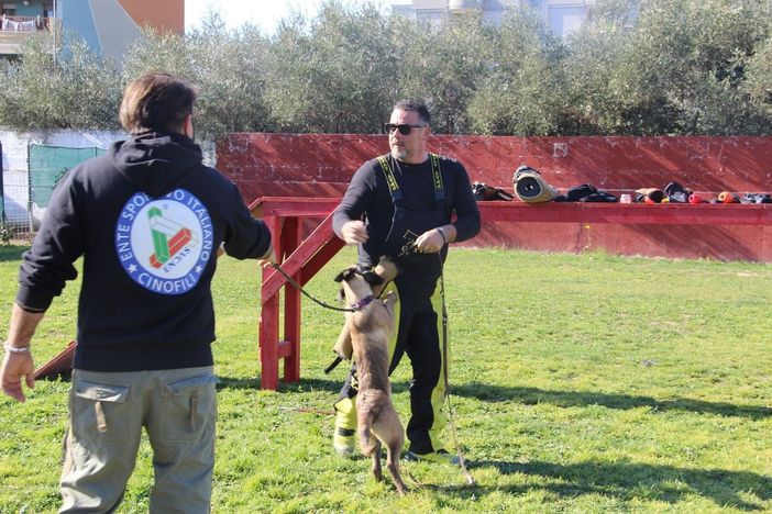 Cinofilia: ENDAS si prepara alla riapertura delle attività e propone un modello tecnico-sanitario per la sicurezza nei centri cinofili.