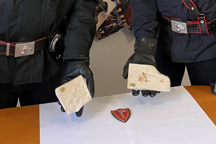 Pavese: recuperati dei fossili di dinosauro in un auto, denunciato un 47enne per ricettazione