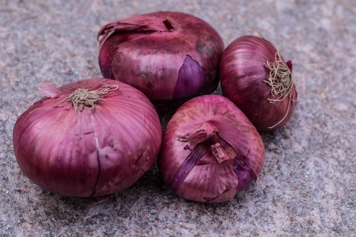 Viaggio nell’Italia dei Presìdi Slow Food: la cipolla rossa di Breme Viaggio nell’Italia dei Presìdi Slow Food: la cipolla rossa di Breme
