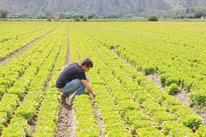 Decreto sostegni, Coldiretti: “Subito risorse a filiere in crisi senza aiuti 4 aziende agricole su 10” Decreto sostegni, Coldiretti: “Subito risorse a filiere in crisi senza aiuti 4 aziende agricole su 10”