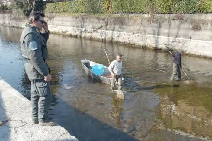 Con i Navigli in Asciutta iniziano i lavori mentre si recupera la fauna ittica Con i Navigli in Asciutta iniziano i lavori mentre si recupera la fauna ittica