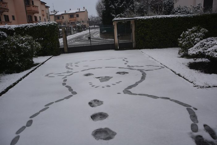 (Foto P.Valisa - Centro Geofisico Prealpino) (Foto P.Valisa - Centro Geofisico Prealpino)