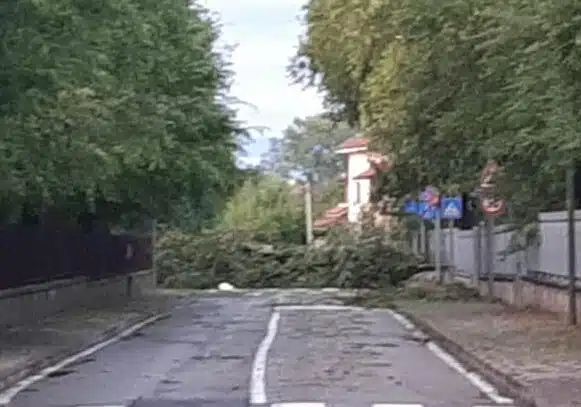 Maltempo: oltre 270 interventi dei vigili del fuoco in Lombardia