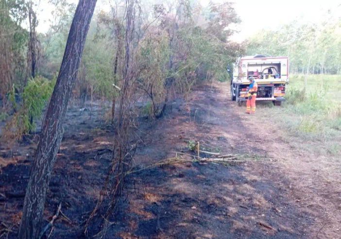 Vigevano, incendio nell’area della Buccella: fiamme domate grazie al rapido intervento dei volontari AIB del Parco Ticino Vigevano, incendio nell’area della Buccella: fiamme domate grazie al rapido intervento dei volontari AIB del Parco Ticino