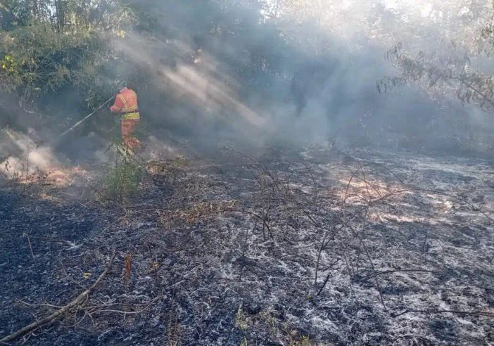 Boffalora, ancora fiamme alla Gambarina: tre roghi distinti, l’ombra del dolo nel Parco del Ticino Boffalora, ancora fiamme alla Gambarina: tre roghi distinti, l’ombra del dolo nel Parco del Ticino
