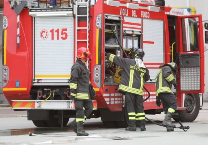 Mezzanino: vitello cade nel Po, salvato dai Vigili del fuoco Mezzanino: vitello cade nel Po, salvato dai Vigili del fuoco