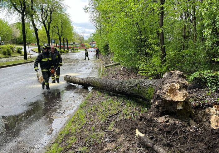 Allerta rossa per il Ticino: volontari del Parco in azione Allerta rossa per il Ticino: volontari del Parco in azione