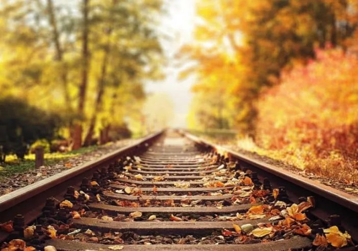 Magenta, la tragica fine di Mohamed: vita di stenti, senza casa, travolto dal treno a Novara Magenta, la tragica fine di Mohamed: vita di stenti, senza casa, travolto dal treno a Novara