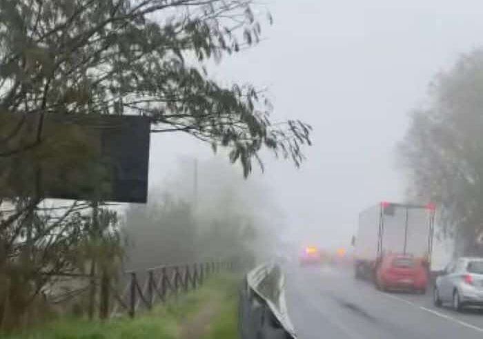 Albairate: incidente sulla SS494, due feriti e tratto di Vigevanese bloccato Albairate: incidente sulla SS494, due feriti e tratto di Vigevanese bloccato