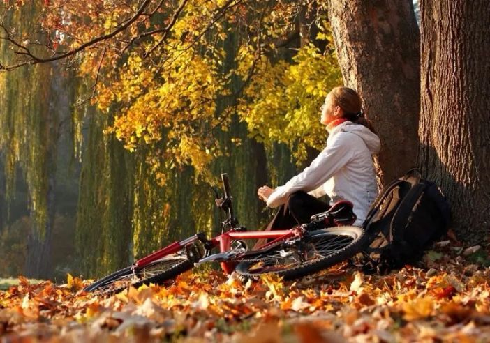 Ponte Ognissanti: 800mila italiani in agriturismo