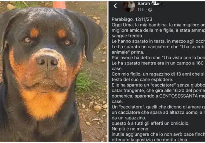 Parabiago. Parla l’avvocato del cacciatore. “Il mio assistito sta subendo un linciaggio mediatico. Ha sparato per stato di necessità” Parabiago. Parla l’avvocato del cacciatore. “Il mio assistito sta subendo un linciaggio mediatico. Ha sparato per stato di necessità”