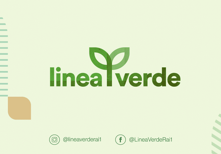 Linea Verde: domenica 6 su Rai Uno lungo le vie del riso lomelline (e del Parco Ticino) Linea Verde: domenica 6 su Rai Uno lungo le vie del riso lomelline (e del Parco Ticino)