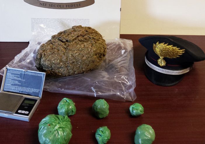 Magenta, droga nel mangime dei cani e 26.400 euro nel detersivo: arrestati due fratelli di 19 e 24 anni