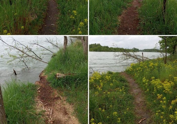 Sponde del Ticino erose tra la Fagiana e Boffalora: attenzione