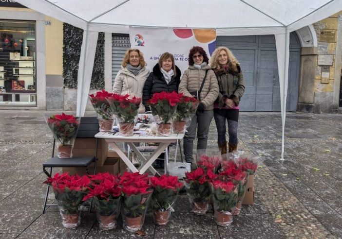 Magenta: "A un passo da te", la neonata associazione in piazza con le stelle di Natale per sostenere le persone diveramente abili