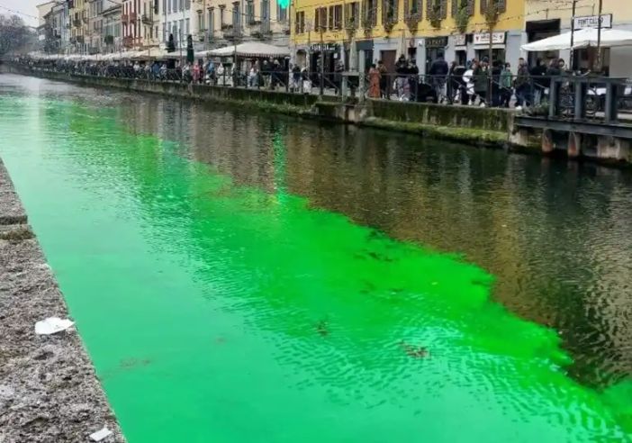 Gli ambientalisti tingono di verde il Naviglio a Milano Gli ambientalisti tingono di verde il Naviglio a Milano